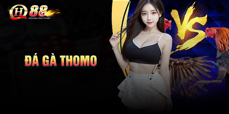 Đá gà Thomo - Trực tiếp siêu CUP Live có bình luận viên