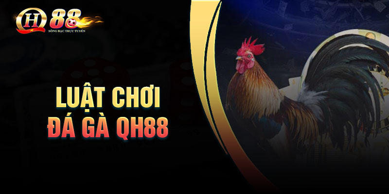 Luật chơi đá gà QH88 chi tiết dễ hiểu nhất
