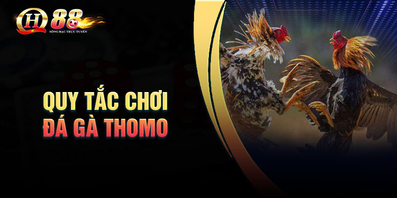 Một số quy tắc cần nắm vững trong đá gà Thomo