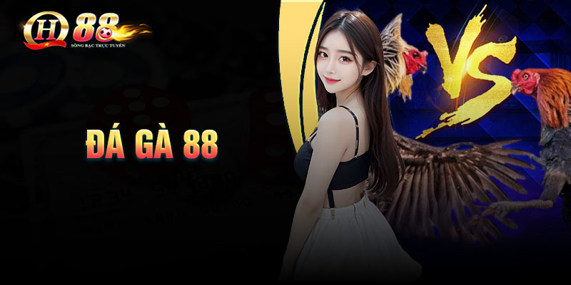 Đá gà 88 - Đăng ký tặng 100k trải nghiệm cá cược
