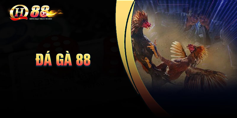 Kinh nghiệm cá cược đá gà 88 hiệu quả cao